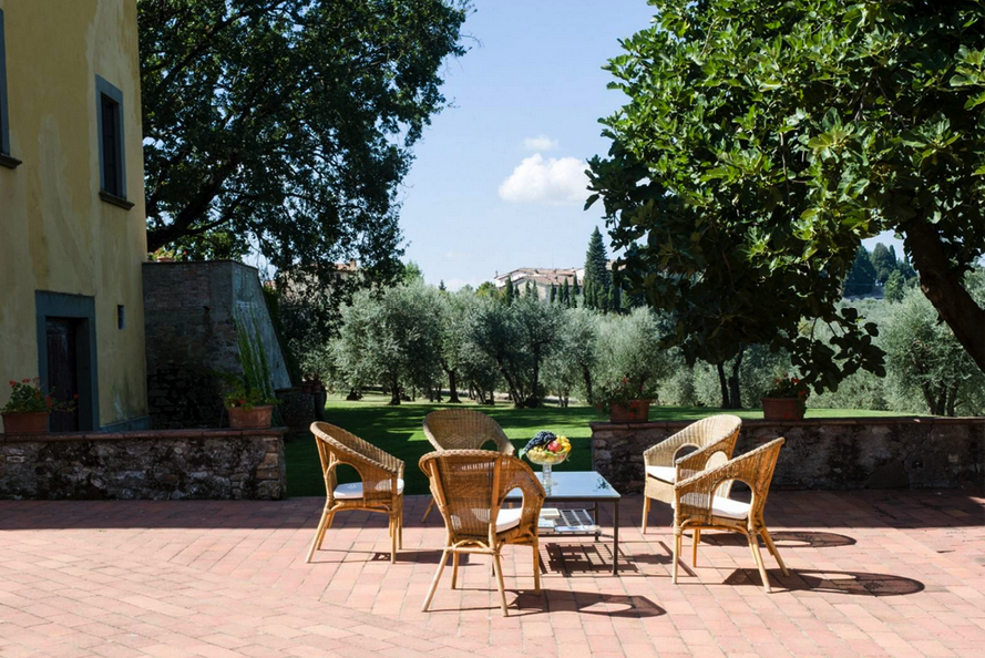 Olive Trees Planted in Tuscany as a Memorial and Celebrations